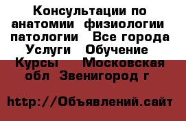 Консультации по анатомии, физиологии, патологии - Все города Услуги » Обучение. Курсы   . Московская обл.,Звенигород г.